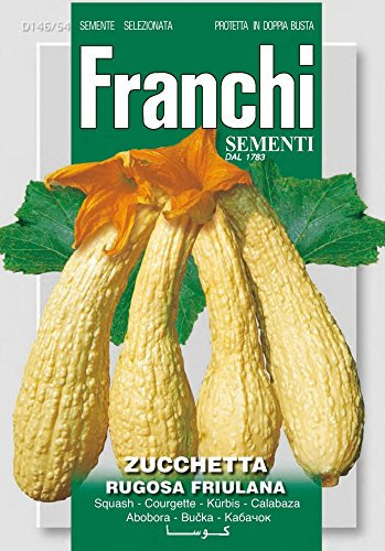 SEMI DI ZUCCHETTA RUGOSA FRIULANA FRANCHI SEMENTI