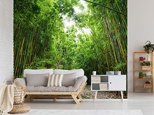 Fotomural Vinilo Para Pared Bosque de Bambú | Fotomural para paredes | Mural | Vinilo Decorativo | Varias Medidas 150 x 100 cm | Decoración comedores, salones, habitaciones...