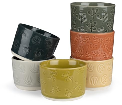 PARMEDU Keramik-Auflaufförmchen, 6er-Set: 230 ml, Kleine Porzellanschalen zum Backen – Souffle-Auflaufförmchen/Becher für Pudding, Brulees, Soufflés, Vanillepudding, Spülmaschinenfest und Ofenfest