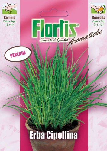 Flortis 4357010 Schnittlauch (Schnittlauchsamen)