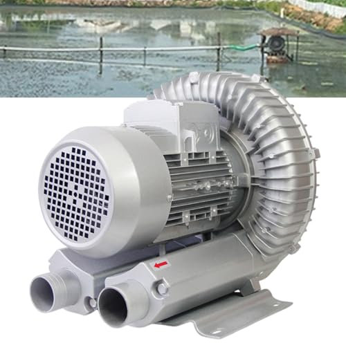 twostronking Soffiante a Turbina Monofase, 120 W-1100 W Opzionale, Volume d'Aria Massimo 210 M³/H, con Filtro Antipolvere E Alloggiamento in Alluminio, Soffiaggio-Aspirazione a Doppio Scopo,750W
