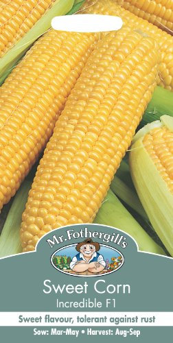 Mr Fothergill's Sweet Corn Incredible F1