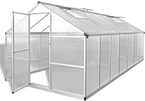 YEZIYIYFOB Serra in alluminio rinforzato, 421 x 250 x 195 cm, 10,53 m², piccola protezione antigelo, per piante, protezione invernale, per attrezzature, casa per pomodori