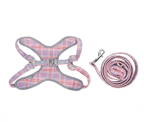 Brustgurt für Haustiere, Hunde Geschirr Leine Set Reflektierende Trainingsweste für Haustiere Verstellbarer Brustkragengurt Traktions Brust Geschirr[L] Laufgeschirre