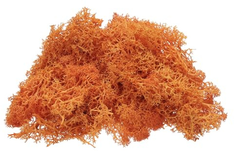 sourcing map Preserved Reindeer Moss, 4 OZ Fake Moss for Crafts Artificial Dried Moss for Decoration, Craft, Terrariums, Potted Plants, Centerpieces Fairy Gardens (Orange)