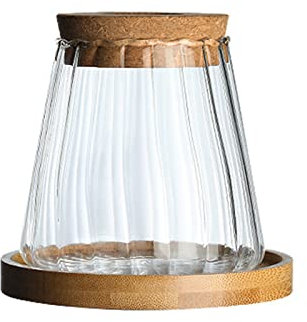 Reuvv Vaso di vetro per piante idroponiche Vasi di vetro per piantare acqua trasparente vasi di vetro per piante idroponiche da interno