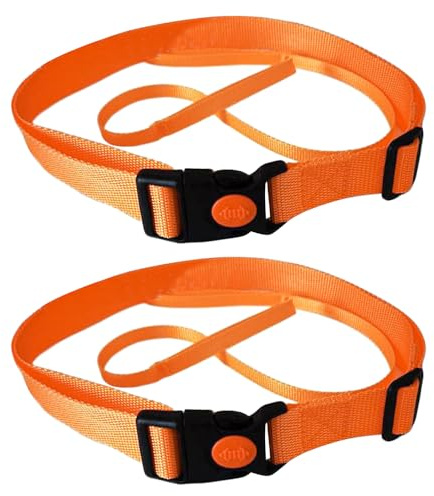 ANCLLO 2 STÜCKE Schwimmtrainingsgürtel Schwimmleine Stationäres Schwimmgeschirr Statischer Schwimmgurt Für Aufblasbare Schwimmboje Schleppschwimmer Luft