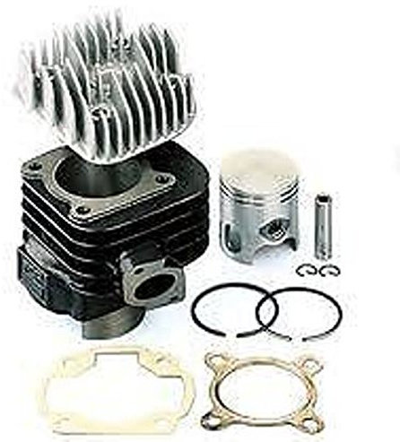 9909610 GRUPPO TERMICO TOP TROPHY 70CC D.47 MINARELLI ORIZZONTALE AC ARIA SP.10 GHISA