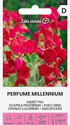 Zalia stotele | Pois de senteur - Graines PERFUME MILLENNIUM | Plante grimpante annuelle décorative | Graines de fleurs | Les fleurs ont un parfum agréable | Graines de plantes | 1 paquet