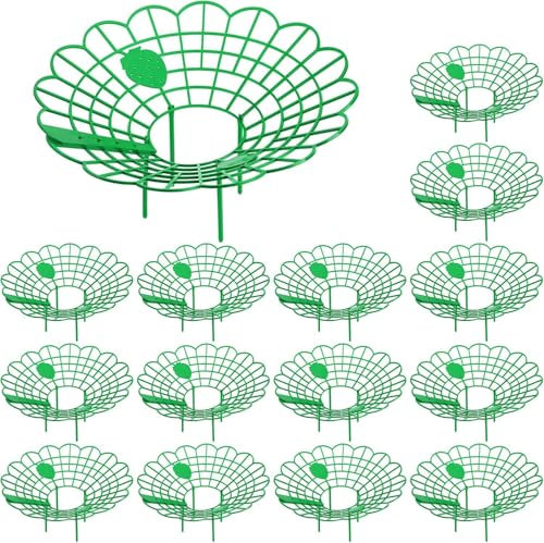 15 Stück Erdbeerstützen Ständer - Erdbeerregal - Balkon Erdbeernetze,Erdbeeren vor Staub und Schnecken schützen,schafft Sicherheitsabstand zum Boden