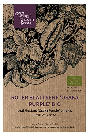 Moutarde de chine rouge 'Osaka Purple'(Brassica juncea) bio env. 300 semences