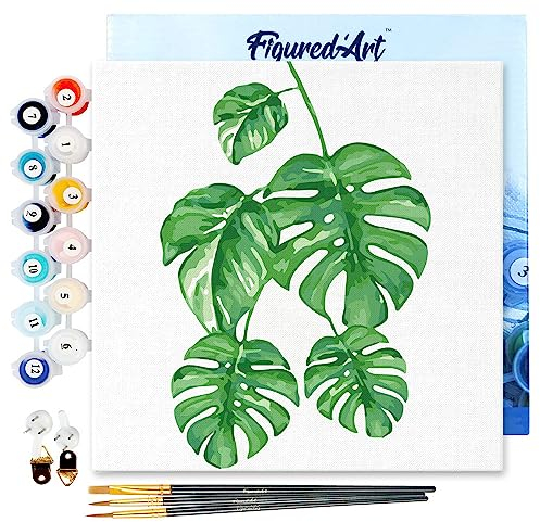 Figured'Art Mini Dipingere con i Numeri 20x20cm con Telaio - Paint by Numbers Le foglie di Monstera, Passatempo per Adulti, Kit Completo, Hobby Creativi - Quadri fai da te Tela Già Incorniciata