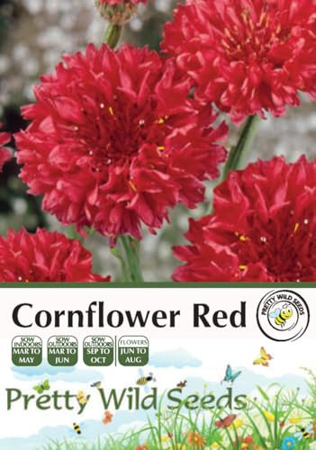 Cornflower Red Seeds in Pictorial Packet - 5g