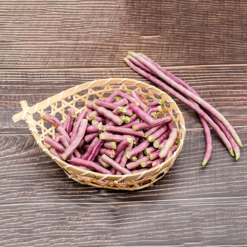 frijoles medidores Frijol espárrago de jardín resistentes Frijol medidor semillas de cocina invierno jardín del balcón interior del balcón 150pcs