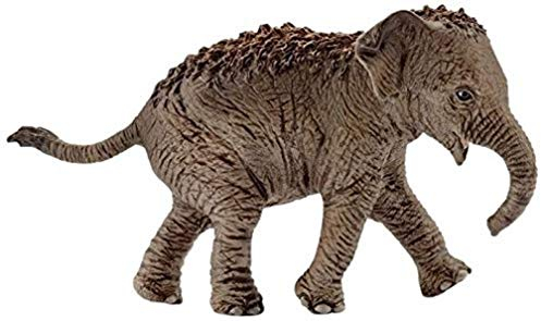 SCHLEICH 14755 Asiatisches Elefantenbaby, ab 3 Jahren, WILD Life - Spielfigur, 9 x 3 x 5 cm