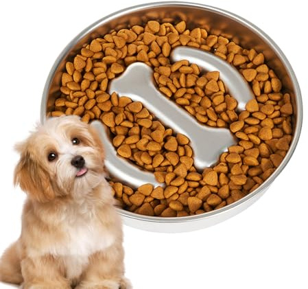 Dog Bowl Slow Feeder,Stainless Steel Dog Slow Feeding Bowl - Anti Choking Eating Basin For Medium Large Breeds Pet Animals Indoor Care