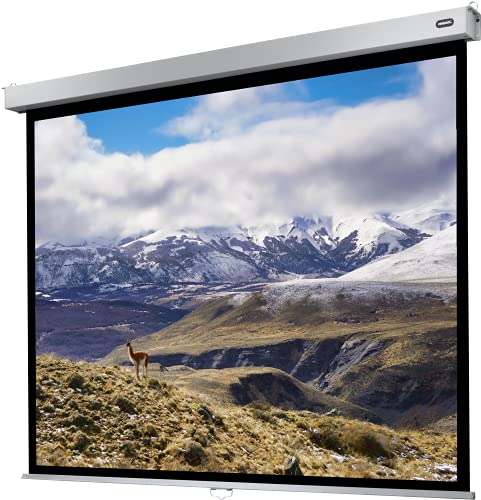 celexon Professional Plus Rollo-Leinwand 150 | 300x225 cm 4:3 | manuell ausziehbare 4K, Full-HD Beamer-Leinwand für Büro-Präsentationen & Heimkino-Projektionen | Wand- & Deckenmontage