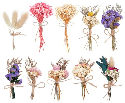 PH PandaHall 10 Stili Fiori Secchi Decorativi Mini Bouquet di Fiori Secchi per Matrimoni e Feste Autunnali Fai Da Te Artigianato Decorazione per Vasi per La Casa, 10.5~19.5cm