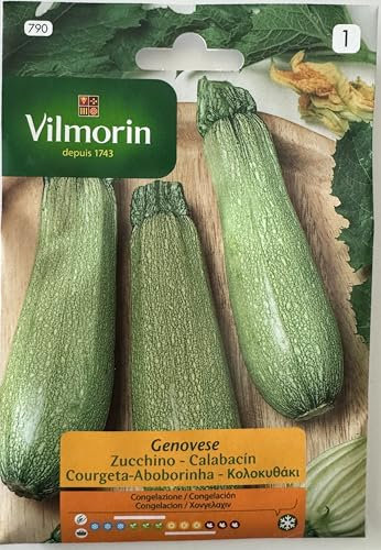 Semi Zucchino Genovese S1-790, 7 Gr, Confezione da 10 bustine.