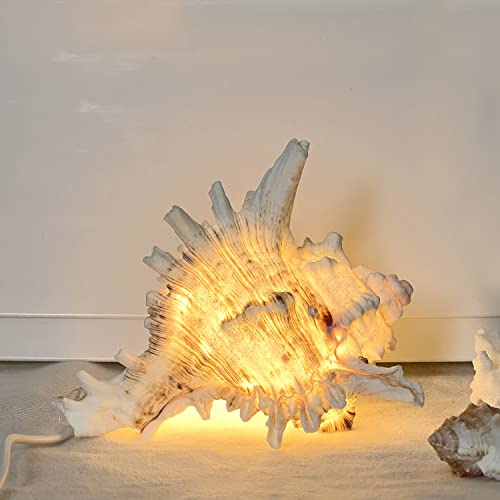 MIYA LIFE Magic Conch Shell Lamp – LED Lighted Real Conch Shell Night Light (7.2''-8.0'') USB/Battery-Powered Seashell Lamp for Bedroom Beach Decor (White, Large)