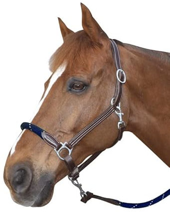 Canter Cabestro de Cuero con Cuerda