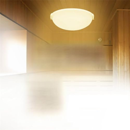 Fegtrty 2X Sauna en Plastique Portable Lumière Douche Sauna Lampe Anti-Déflagrante Salle de Vapeur Anti-Brouillard Lumière pour L'Utilisation de la Salle de Bain