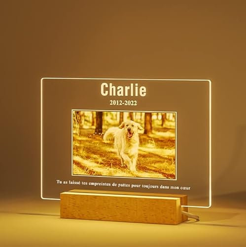 Bemaystar Cadeaux Commémoratifs Personnalisés pour Chiens Cadeaux De Perte d'animaux De Compagnie Plaque pour Chien Cadre Photo Commémoratif Pierre Commémorative Animal Domestique avec Photo Nom Date