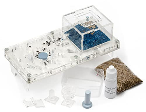 AntHouse - Fourmilière Acrylique | Kit Educatif Champignon 10x20x1,3 cm | Fourmis Incluses