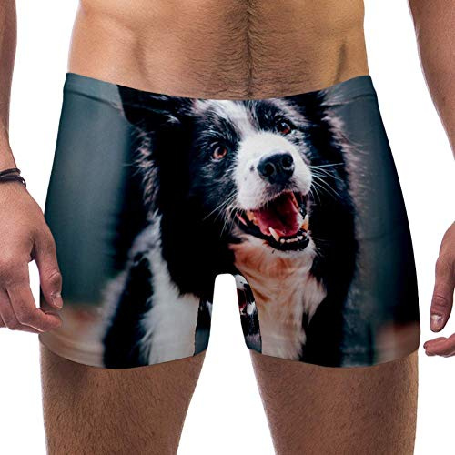 LORVIES Cute Border Collie Mens Boxer de natation Short Carré Leg Maillot de bain à séchage rapide Taille S - - L