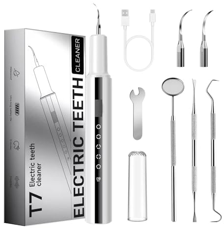 Plaque Remover for Teeth, ARISSON Ultrasonic Tartar Remover, Dental Cleaner with LED Light, 5 Modes Teeth Cleaning Tool, Rechargeable Dental Pick with 2 Replaceable Heads for Home & Travel