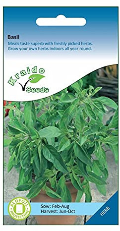 Basil Herb 500 Seeds Ocimum Basilicum, Grow Your Own Herb Garden Indoors on a Windowsill or Outdoors in Pots and Containers
