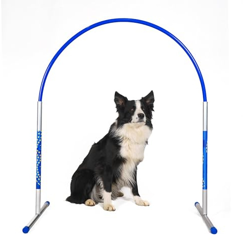 Callieway NADAC Hoopers Agility Hoops paket med 6 (aluminiumringar - aluminium - paket med 6 (utan mittvistelse