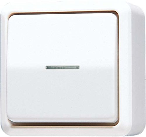 Jung 606KO5AWW Wipp-Kontrollschalter Universal aus-Wechsel