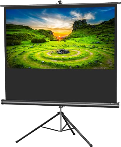 celexon Economy Black Tripod screen black 100 | 219x123cm 16:9 | Mobile, 4K, full HD projector screen with manual roller extension for home cinema, office & outdoor use | incl stand + carrying handle