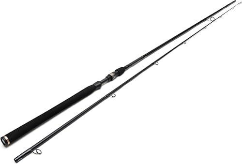 Westin Predatory fish rod for zander and pike 240 cm H 20-60 g W4 Powerlure 2nd