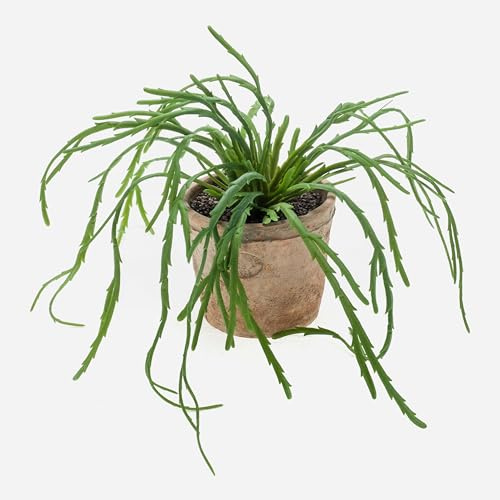 artplants.de Konstgjord Rhipsalis Hadrian i terrakottakruka, grön, 35 cm