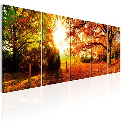 B&D XXL - Akustikbild Wald 5 tlg Bilder Akustikschaum Schallschutz Wand Deko Akustikpaneele Wandpaneele Schalldämmung Wandbild Schallabsorber Akustikplatten Waldlandschaft Natur Baum c-B-0287-b-m