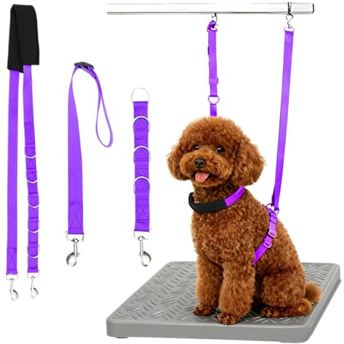 3 cinghie per la toelettatura di cani e animali domestici, in nylon, con cuscinetto per la pancia del cappio, guinzaglio regolabile con anelli a D, cinghia per la toelettatura del cane, corda