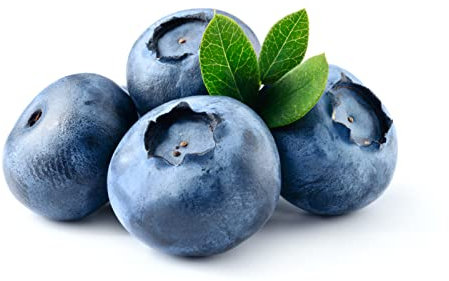 Fruit Plants, Blueberry 'Sunshine Blue', 1 x Full Plant in 2 Litre Pot, Blueberry Plants, Blueberries, Garden Plants - Garden Ready and Ready to Plant, Premium Quality Fruit