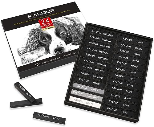 KALOUR 24 Pro Holzkohle-Malset – Weich, mittel, harte Kohle und weiße Holzkohle – Holzkohle-Sticks zum Zeichnen, Skizzieren, Schattieren – Kunstbedarf, Geschenk für Künstler, Anfänger, Erwachsene