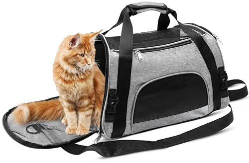 Casas - Bolsa de transporte para gatos y jaulas para perros, bolsa de transporte plegable para gatos y caja de transporte para perros plegable, caja de transporte para gatos y cesta para gatos. Bolsa
