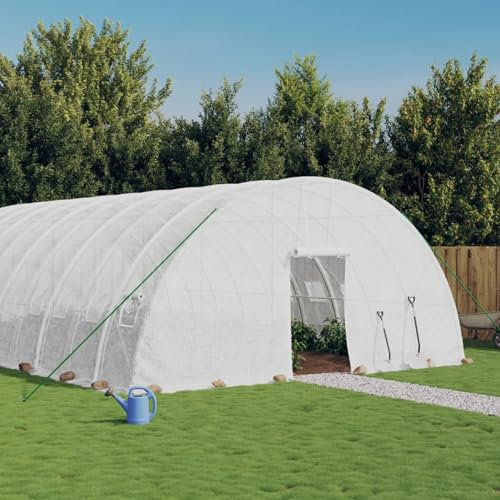 ZEYUAN Serre avec Cadre en Acier Blanc 144 m² 24x6x2,85 m,Carport Abri Voiture,Serre Tunnel