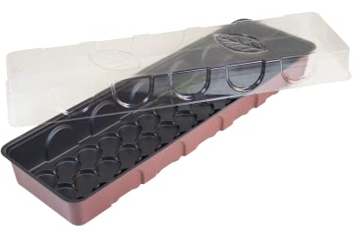 Windhager Zimmer-Gewächshaus, Fensterbank-Treibhaus, terracotta / anthrazit, 54,5 x 16,5 x 11 cm, 06859