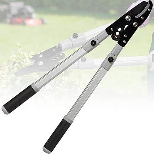 Outils De Jardinage, Coupe-Branches Télescopiques 68-104 Cm, Coupe-Branches À Enclume Moins D'efforts, Cisaille De Jardin Extensible pour Bois Sec Et Dur, Capacité De Coupe De 5Cm