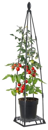 Estructura para Plantas Trepadoras Exterior,Estructura Metálica para Plantas | Soporte Antioxido para Macetas Invernadero Balcón Terraza