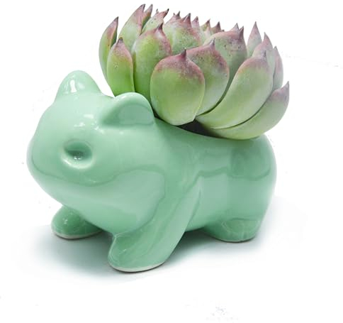 Binoster Maceta decorativa de cerámica para manualidades, color verde