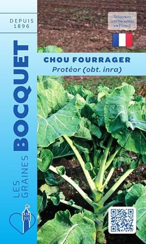 Sachet de graines de Chou fourrager Protéor (branchu) - 10 g - légume feuille - LES GRAINES BOCQUET