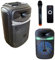 MAKA Speaker Wireless Bluetooth Portatile con Microfono Impianto Audio Cassa Attiva con Effetti di Luce Rgb MP3 USB/SD Batteria Ricaricabile Suono Pulito Equalizzatore (100W 12)