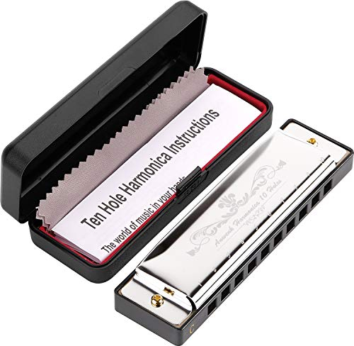 Anwenk Harmonica Key of C 10 Hole 20 Tone Diatonic Harmonica C with Case for Beginner,Students, Kids Gift (Silver)