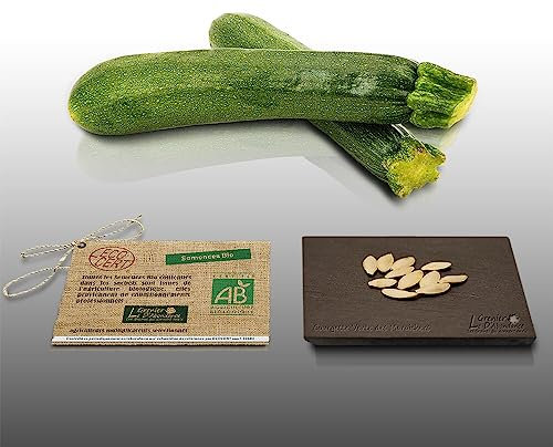 10 graines à semer - Le Grenier d'Abondance - COURGETTE Verte des Maraichers - Certifié AB - Curcurbita Pepo